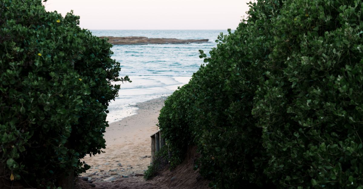 Mindfulness-Based Therapy: A Path to Self-Discovery
